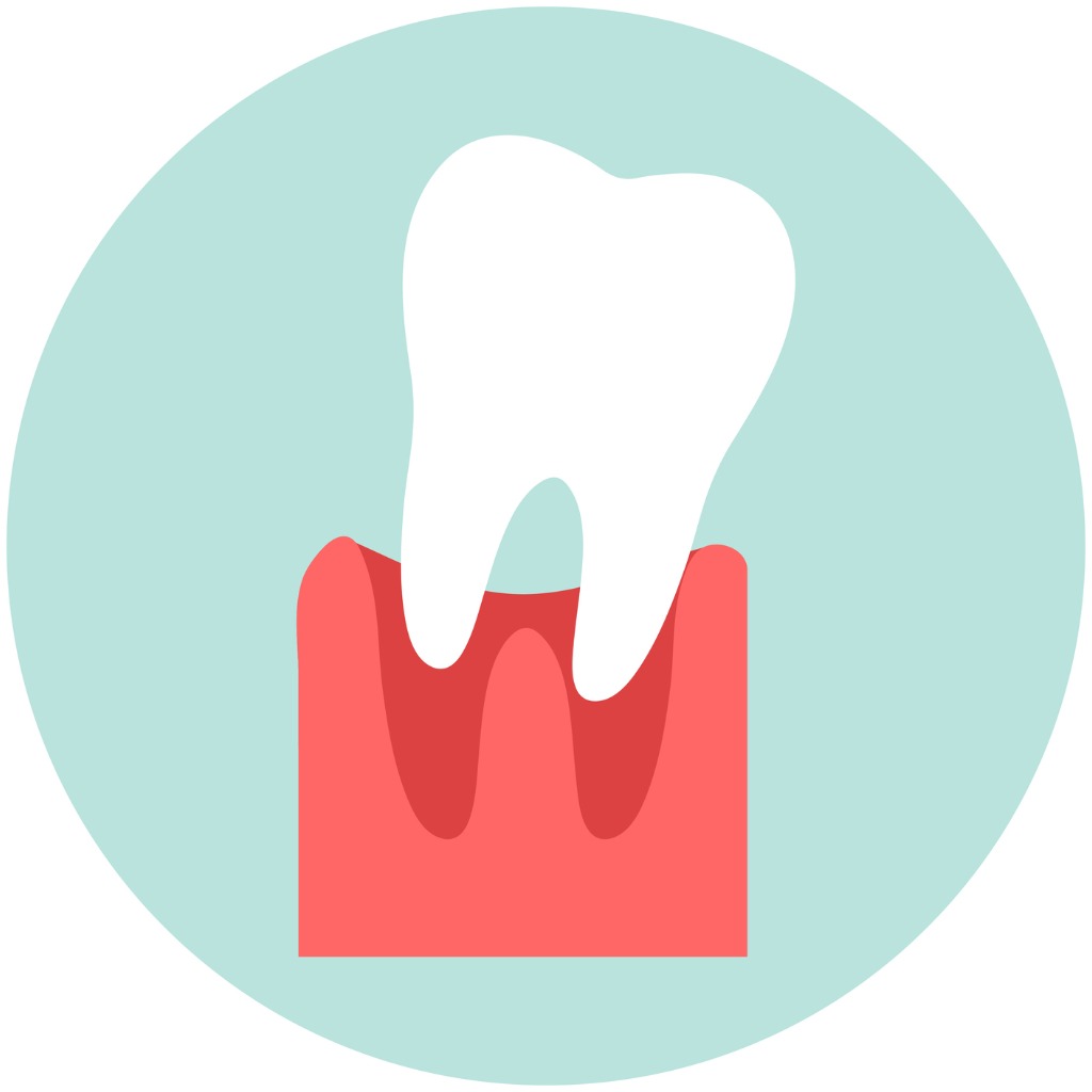 Periodontist