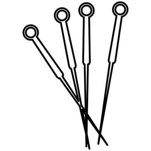 Veterinary Acupuncturist