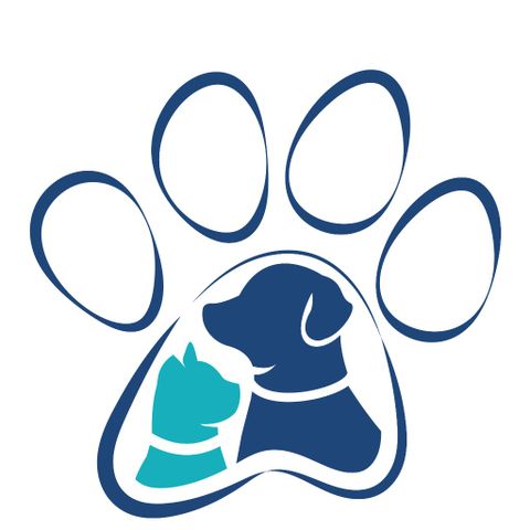 Veterinary Dermatologist