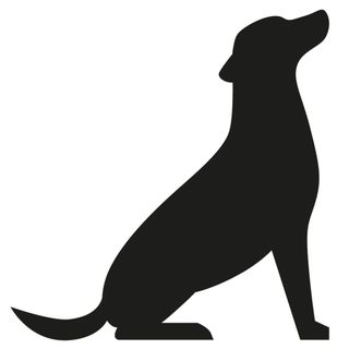 image for Animal Behaviorist