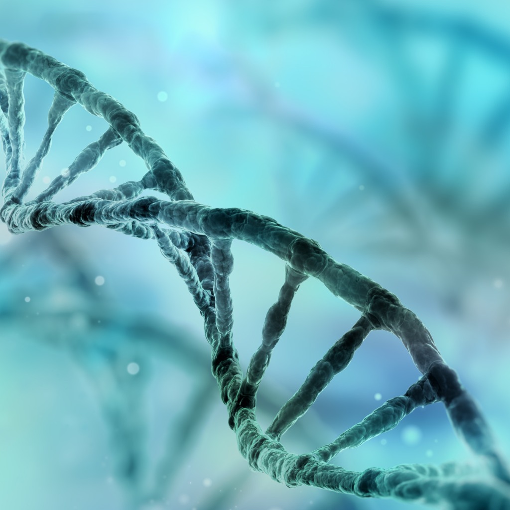 Genetics and Related Studies