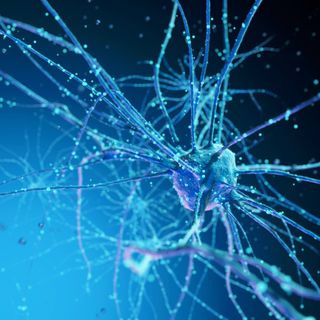 Biology and Related Studies