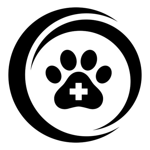 Veterinary Ophthalmologist