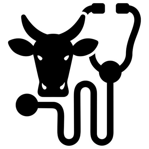 Large Animal Veterinarian
