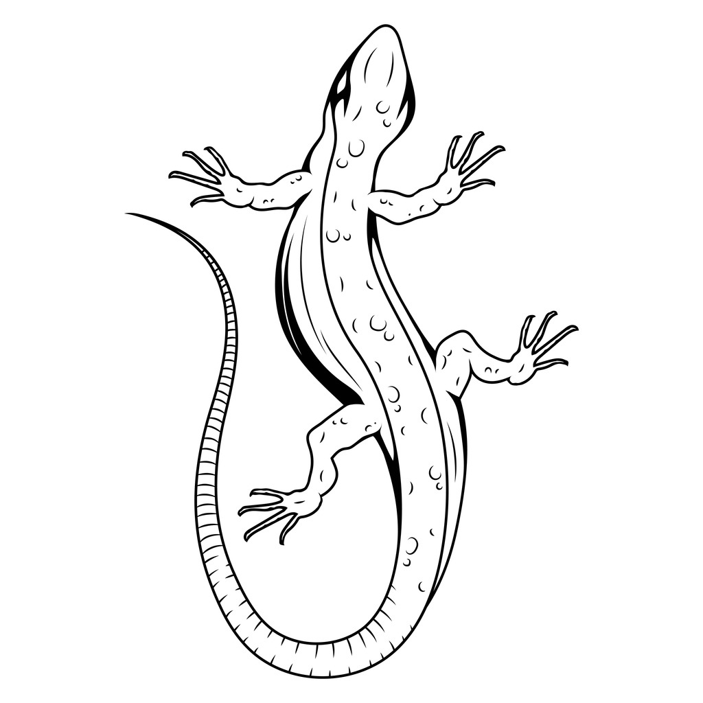 Herpetologist