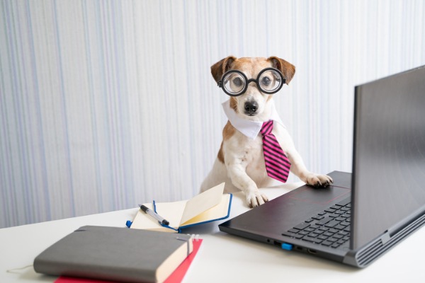 Careers With Animals thumbnail image