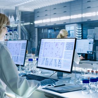 Bioinformatics