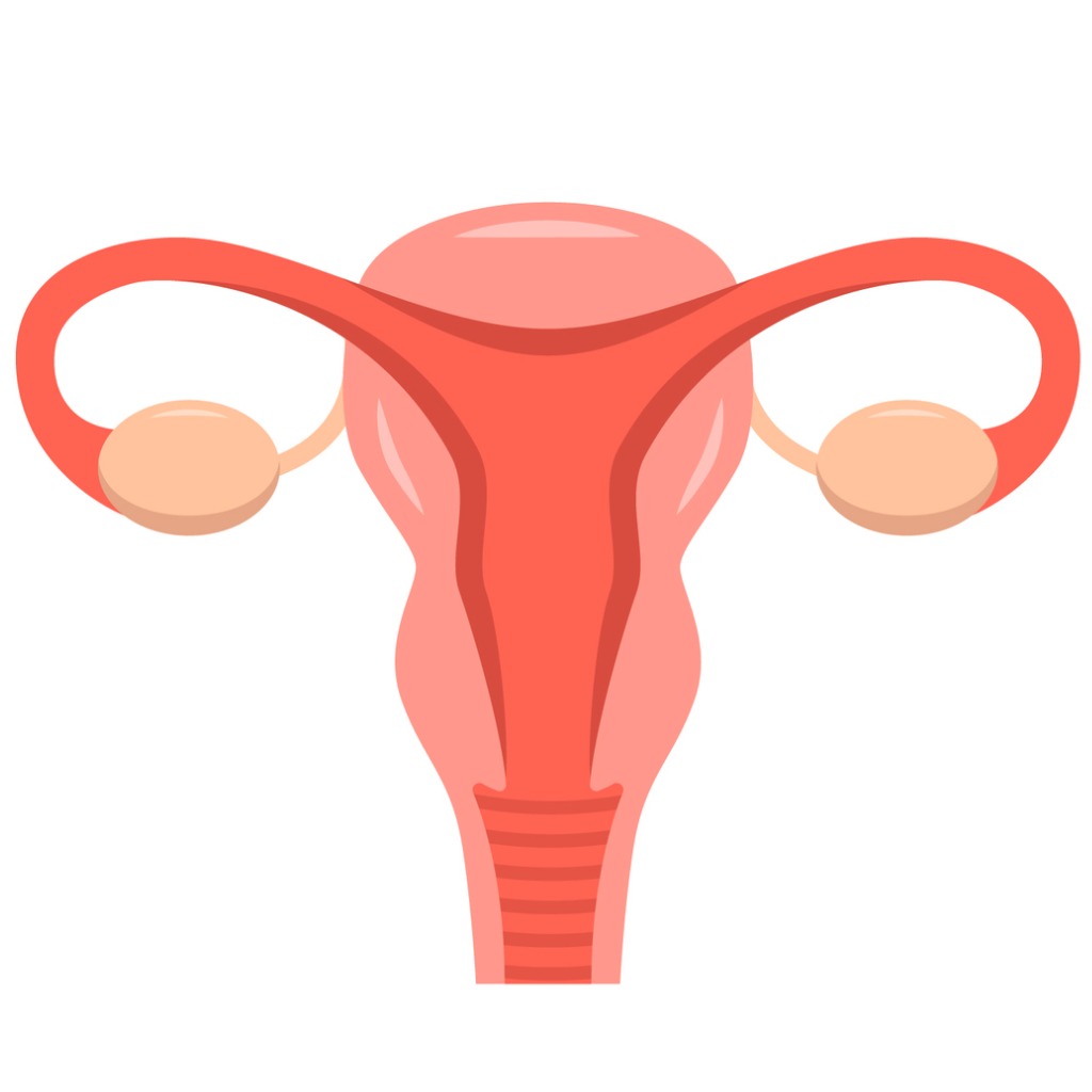 Gynecologist