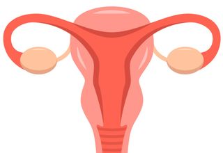 Gynecologist photograph