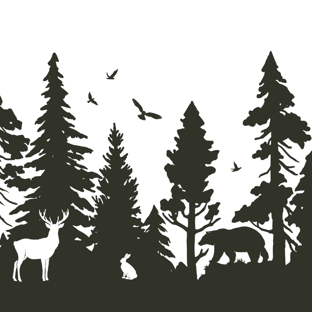 Wildlife Ecologist