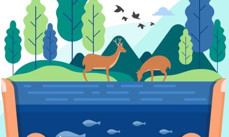 Environmental Restoration Planner