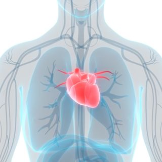 Cardiopulmonary Science