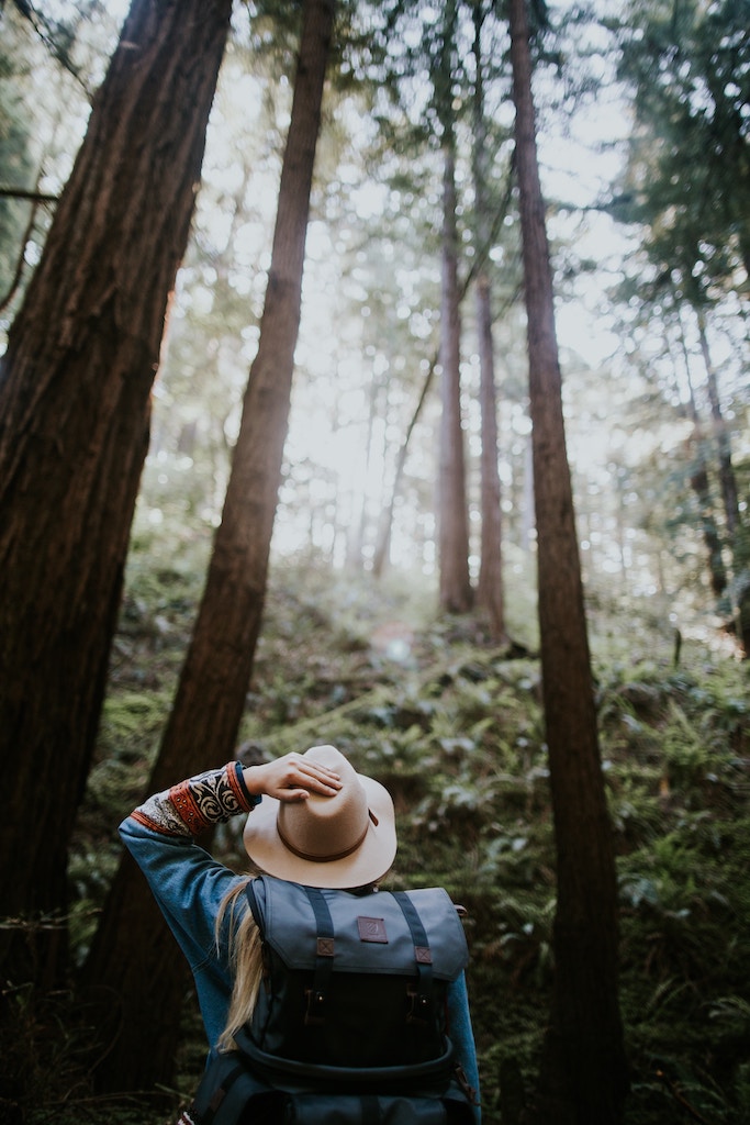 Forestry and Related Studies