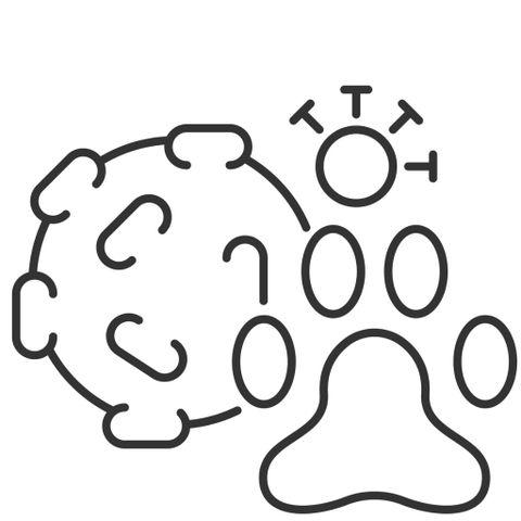 Veterinary Pathologist